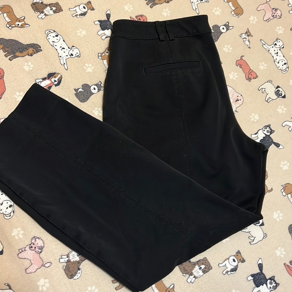 WHBM dress pants.  Super cute!